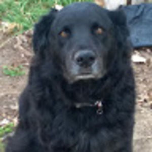 Meet your Posher, Cassie